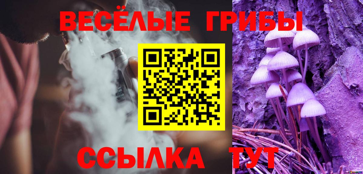 Галлюциногенные грибы Cubensis Новочебоксарск